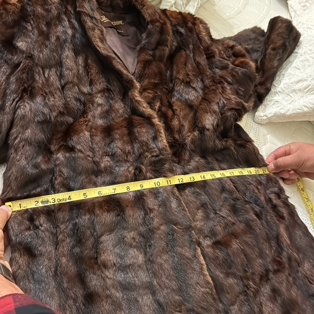 Beaver Fur View 5